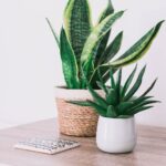 resized_20_api